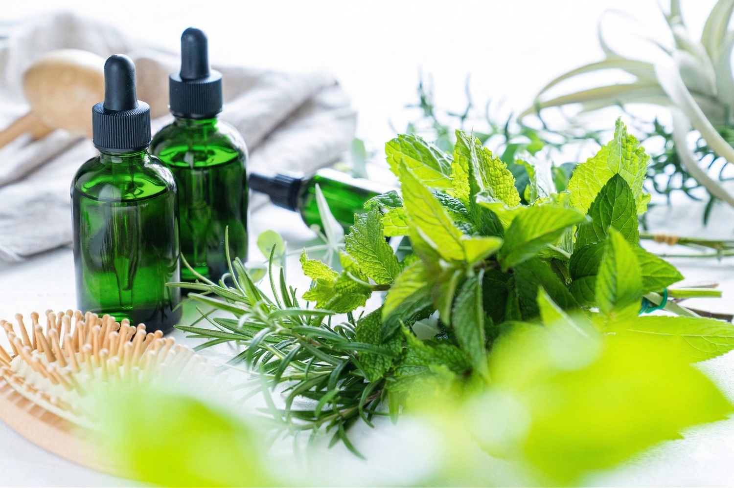 肌と心を整える、Natuud（ナチュード）こだわりの天然由来成分。複数のアロマオイルが織りなす、自然と調和した健やかな暮らしのワンシーン。