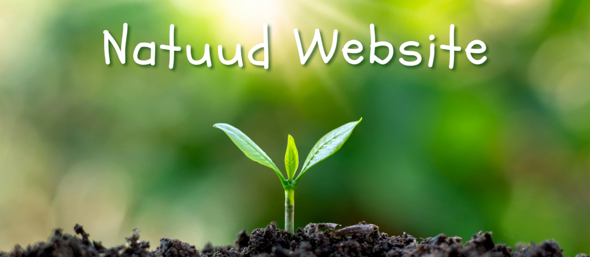 Natuud（ナチュード）のメインビジュアル。肌と心を整える天然由来の美容オイル「然（Zen）」がある暮らし